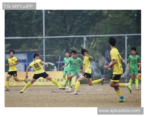 武汉足球队的拼搏之路:城市联赛中的荣耀与挑战 武汉足球队的拼搏之路:城市联赛中的荣耀与挑战