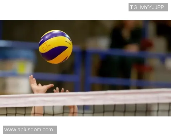 深度对话赵磊排球人生的奋斗与梦想探索之旅