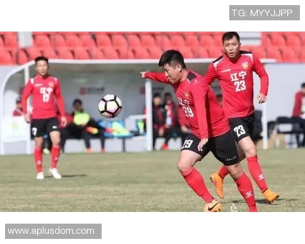 瓦尔多足球明星的传奇之路与辉煌成就探秘