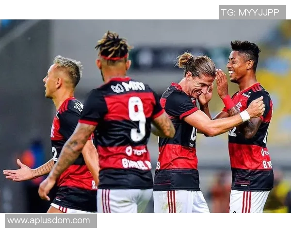 美国足球明星与球迷的激情互动与共同成长之路