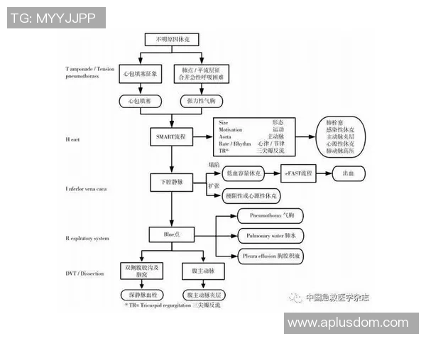 重庆篮球队战术揭秘:从进攻到防守的全方位解析与实践