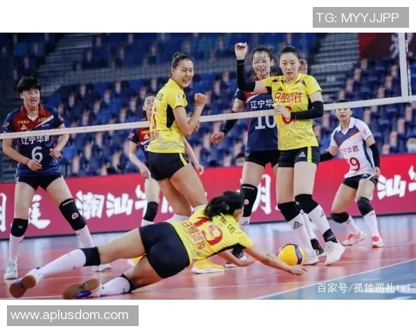 最新排球灵活性TOP10：南京排球队领跑