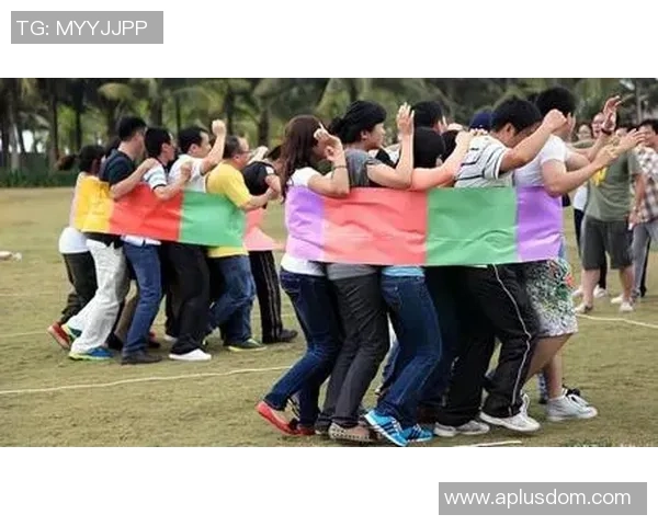 科学极限运动：团队协作训练方法