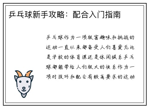 乒乓球新手攻略:配合入门指南