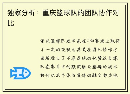 独家分析:重庆篮球队的团队协作对比