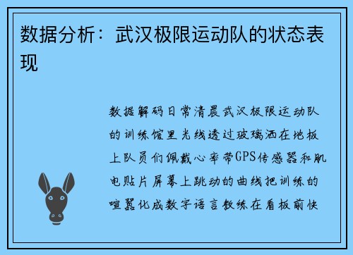 数据分析：武汉极限运动队的状态表现